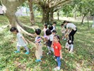 哇!這棵樹的樹根好長