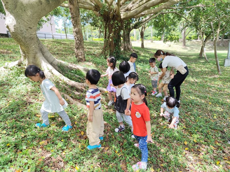 哇!這棵樹的樹根好長
