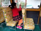 幼童車安全教育系列相片共42張